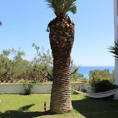 Panorama Studios & Apartments Amoudi Exterior photo